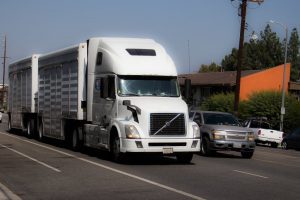 The Difference Between Trucking Accidents and Car Accidents in Terms of Legal Representation